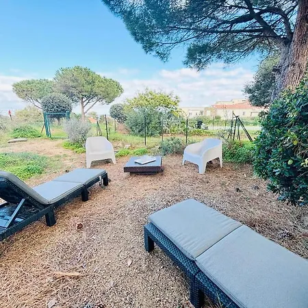 Boug 26 * Lumio (Corsica)