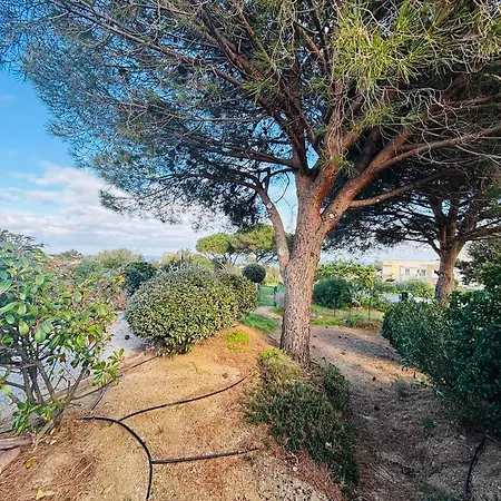 Lägenhet Boug 26 Lumio (Corsica)