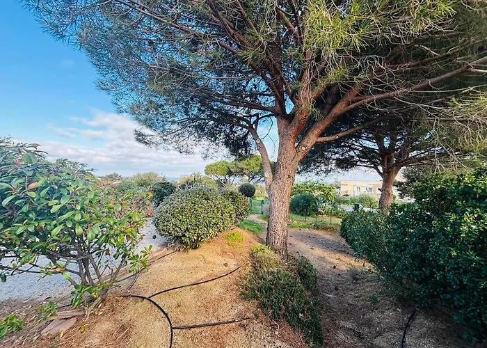 Apartment Boug 26 Lumio (Corsica)